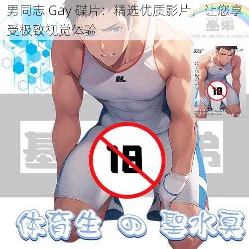 男同志 Gay 碟片：精选优质影片，让您享受极致视觉体验