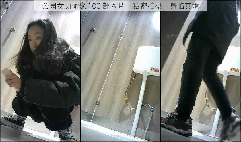 公园女厕偷窥 100 部 A 片，私密拍摄，身临其境