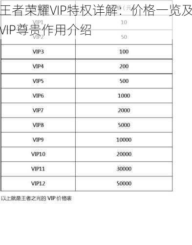 王者荣耀VIP特权详解：价格一览及VIP尊贵作用介绍