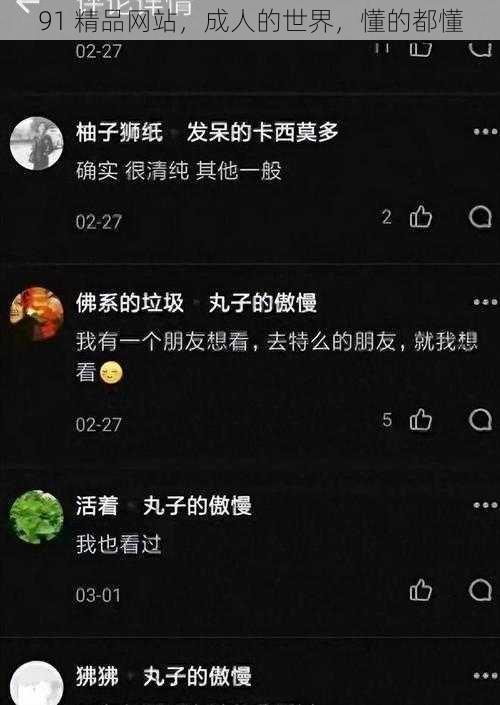 91 精品网站，成人的世界，懂的都懂