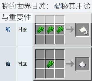 我的世界甘蔗：揭秘其用途与重要性