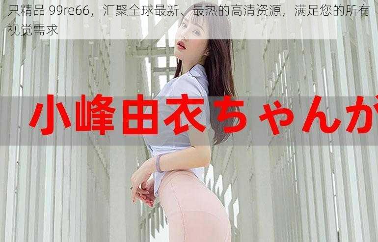 只精品 99re66，汇聚全球最新、最热的高清资源，满足您的所有视觉需求