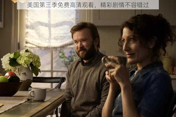 美国第三季免费高清观看，精彩剧情不容错过