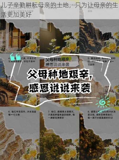 儿子辛勤耕耘母亲的土地，只为让母亲的生活更加美好