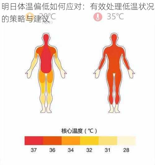 明日体温偏低如何应对：有效处理低温状况的策略与建议