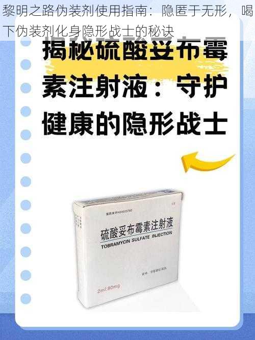 黎明之路伪装剂使用指南：隐匿于无形，喝下伪装剂化身隐形战士的秘诀