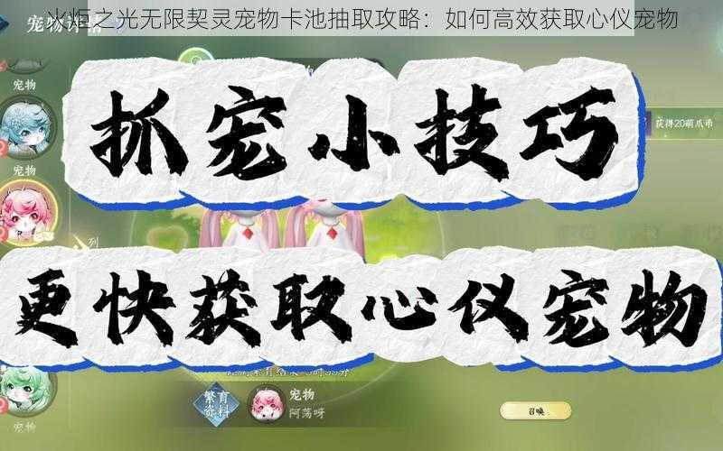 火炬之光无限契灵宠物卡池抽取攻略：如何高效获取心仪宠物