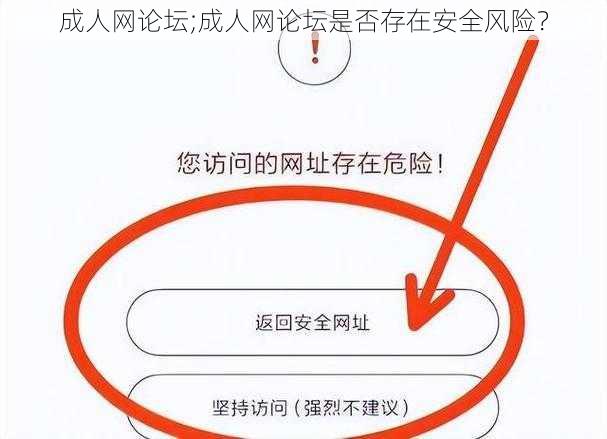 成人网论坛;成人网论坛是否存在安全风险？