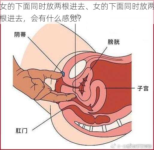 女的下面同时放两根进去、女的下面同时放两根进去，会有什么感觉？