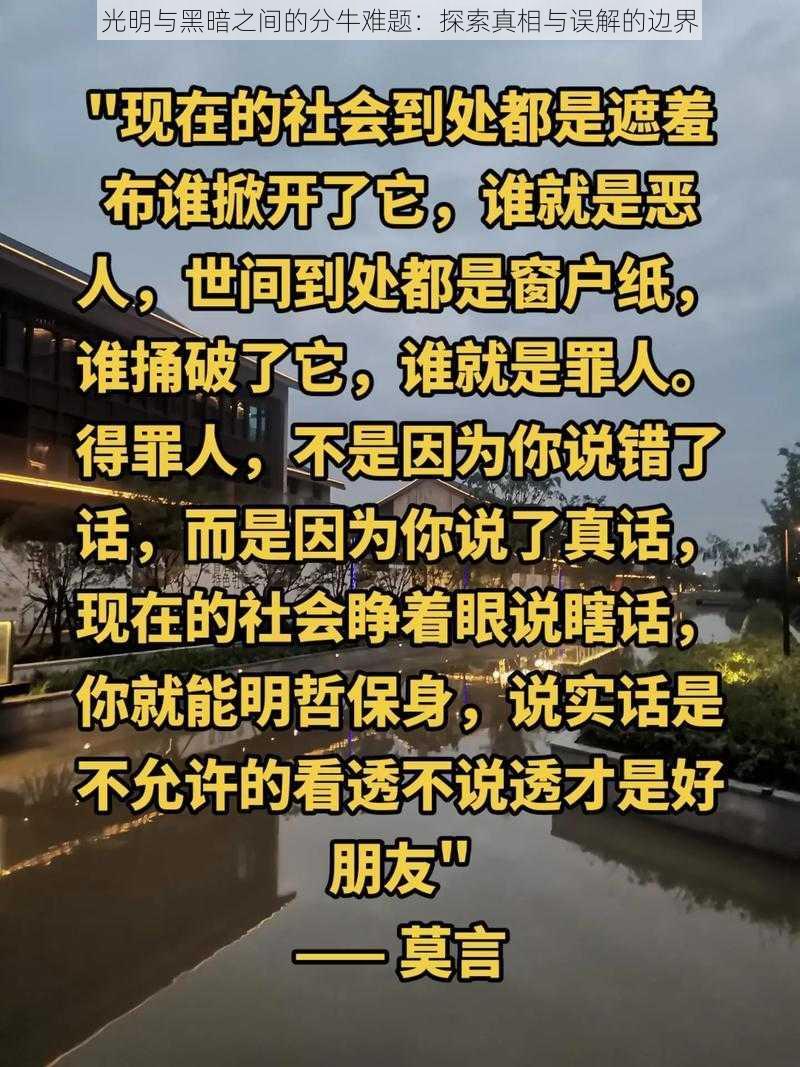 光明与黑暗之间的分牛难题：探索真相与误解的边界