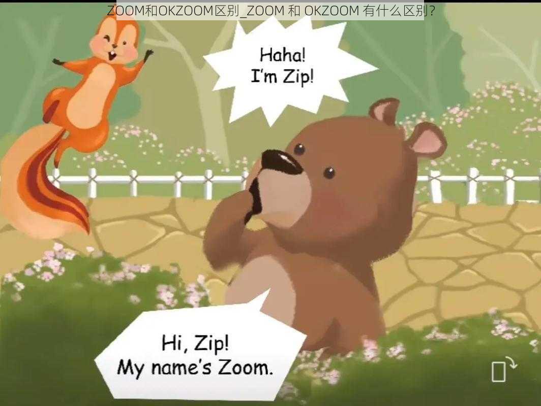 ZOOM和OKZOOM区别_ZOOM 和 OKZOOM 有什么区别？