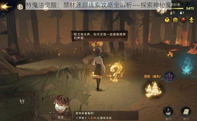 哈利波特魔法觉醒：禁林迷踪线索攻略全解析——探索神秘魔法世界