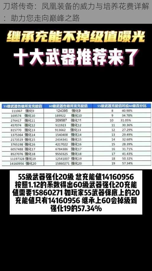 刀塔传奇：凤凰装备的威力与培养花费详解：助力您走向巅峰之路