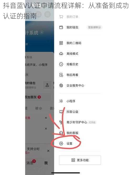 抖音蓝V认证申请流程详解：从准备到成功认证的指南