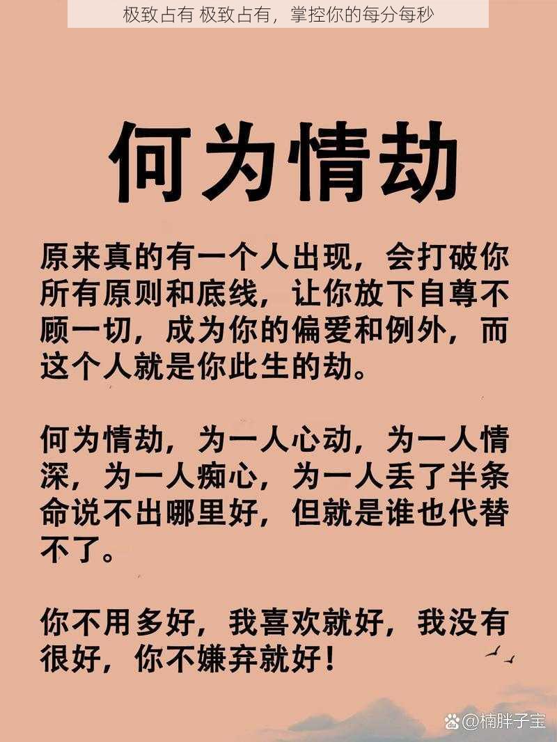 极致占有 极致占有，掌控你的每分每秒