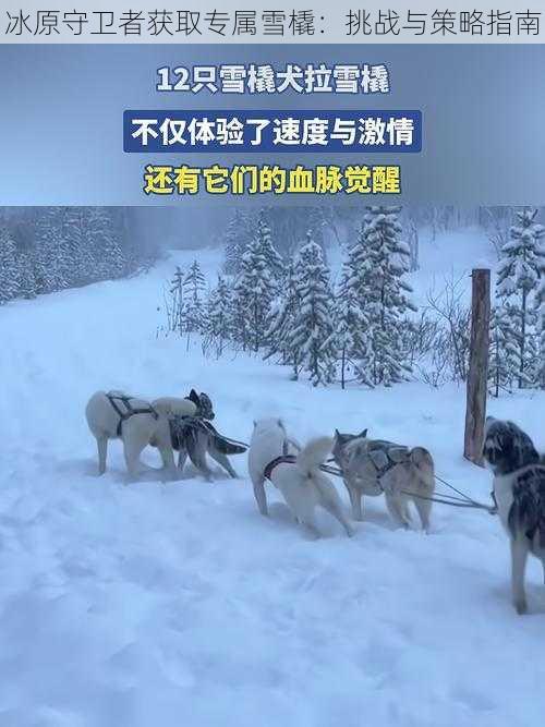 冰原守卫者获取专属雪橇：挑战与策略指南