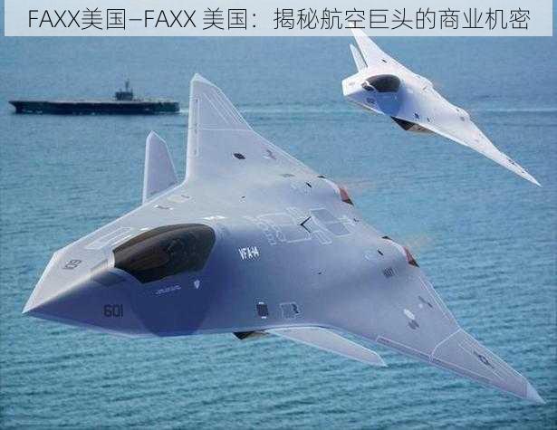 FAXX美国—FAXX 美国：揭秘航空巨头的商业机密