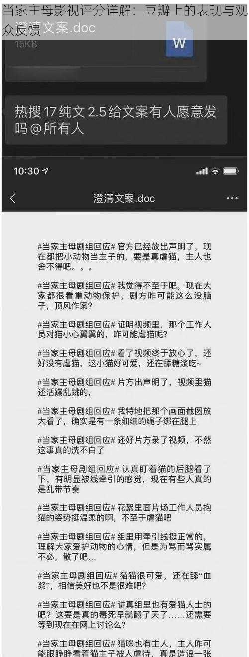 当家主母影视评分详解：豆瓣上的表现与观众反馈