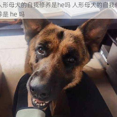 人形母犬的自我修养是he吗 人形母犬的自我修养是 he 吗