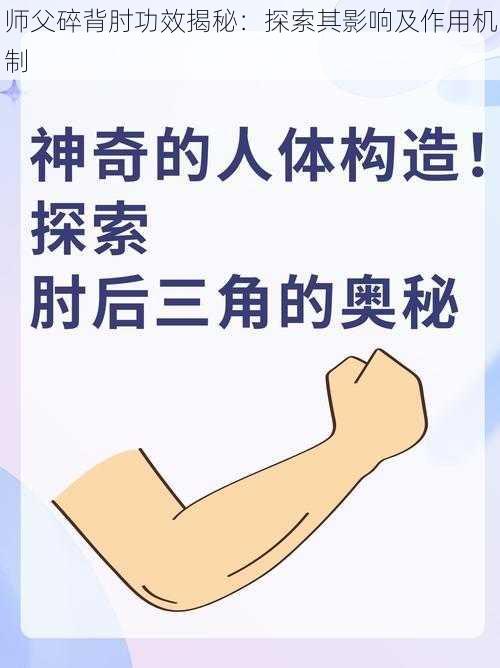 师父碎背肘功效揭秘：探索其影响及作用机制