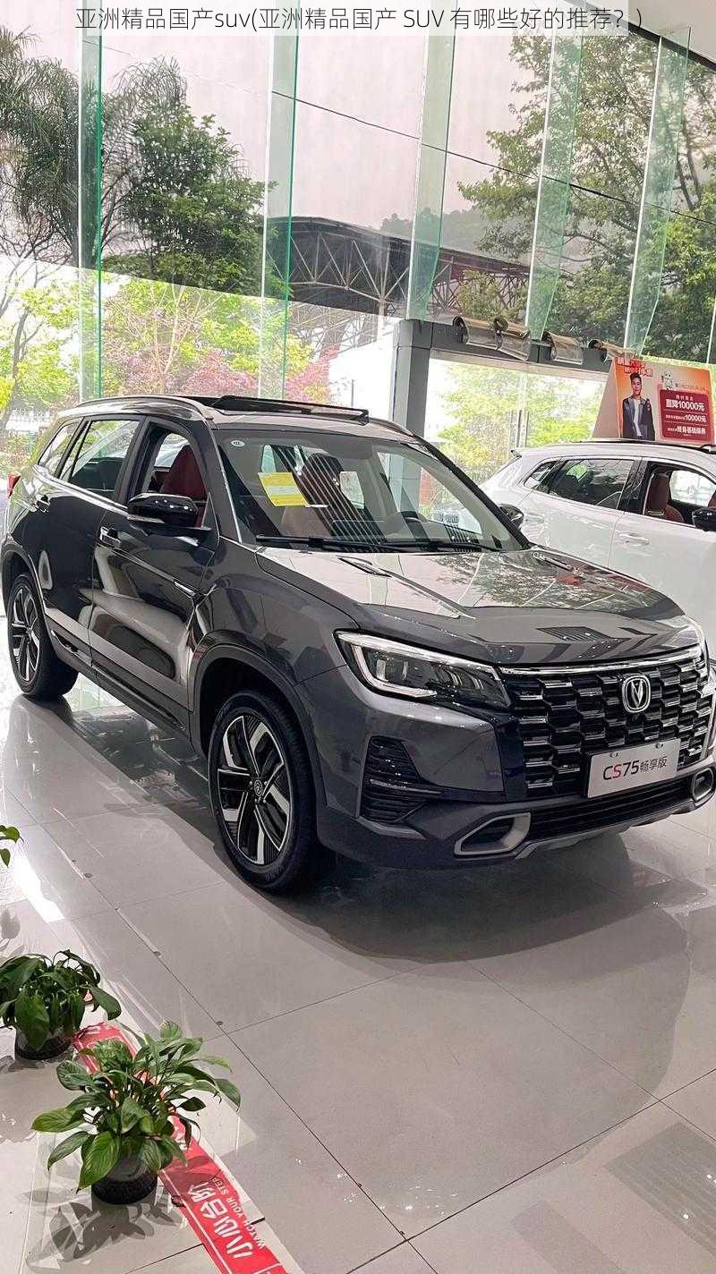 亚洲精品国产suv(亚洲精品国产 SUV 有哪些好的推荐？)