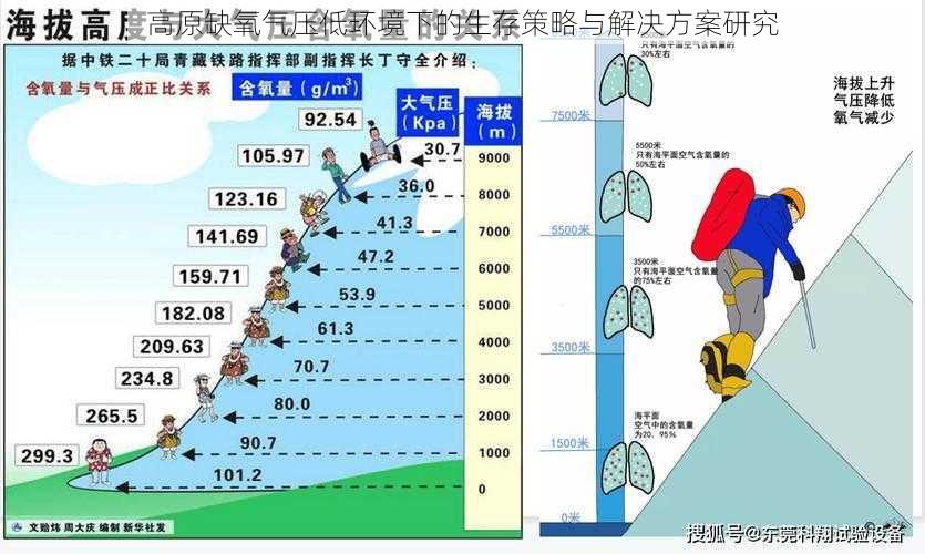 高原缺氧气压低环境下的生存策略与解决方案研究