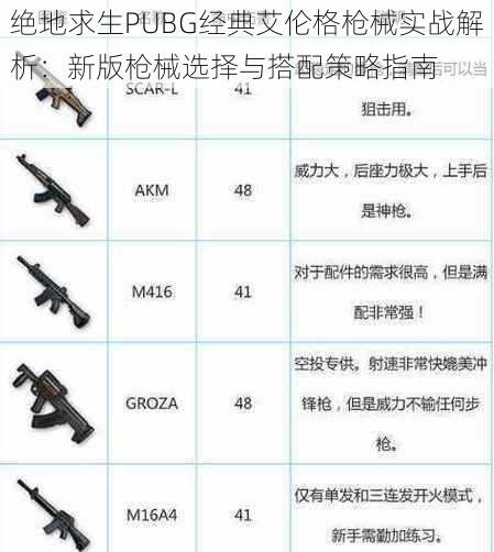 绝地求生PUBG经典艾伦格枪械实战解析：新版枪械选择与搭配策略指南