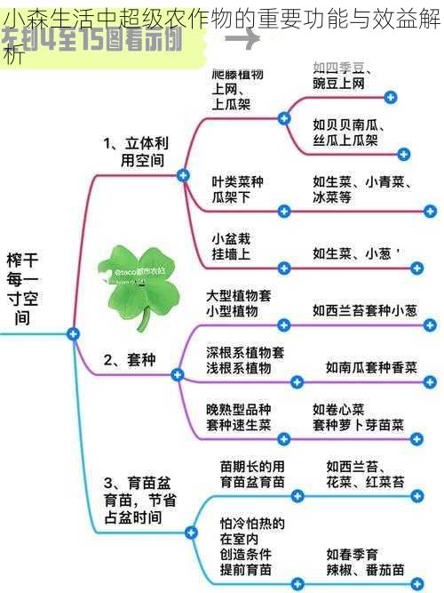 小森生活中超级农作物的重要功能与效益解析