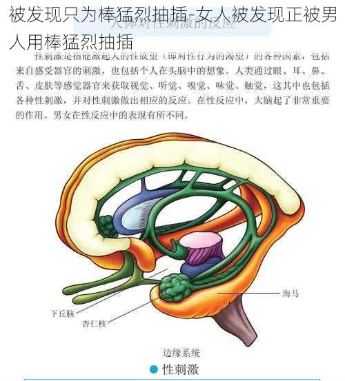 被发现只为棒猛烈抽插-女人被发现正被男人用棒猛烈抽插