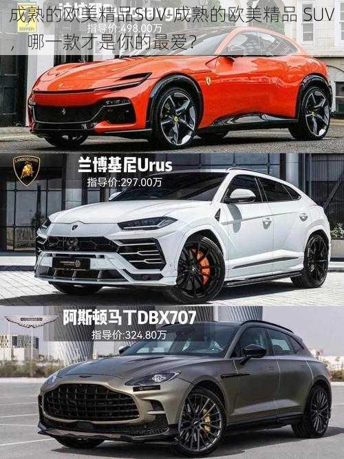 成熟的欧美精品SUV-成熟的欧美精品 SUV，哪一款才是你的最爱？