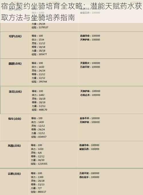 宿命契约坐骑培育全攻略：潜能天赋药水获取方法与坐骑培养指南