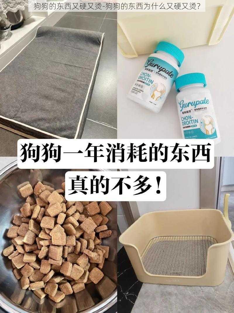 狗狗的东西又硬又烫-狗狗的东西为什么又硬又烫？