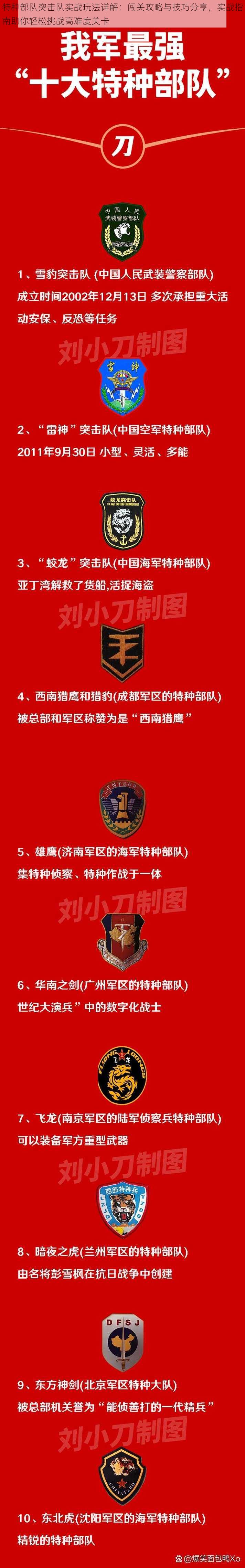 特种部队突击队实战玩法详解：闯关攻略与技巧分享，实战指南助你轻松挑战高难度关卡