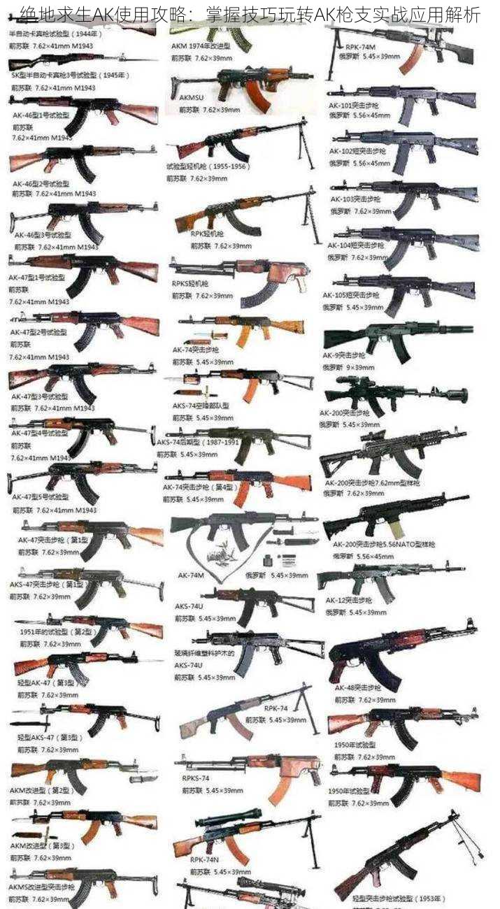 绝地求生AK使用攻略：掌握技巧玩转AK枪支实战应用解析