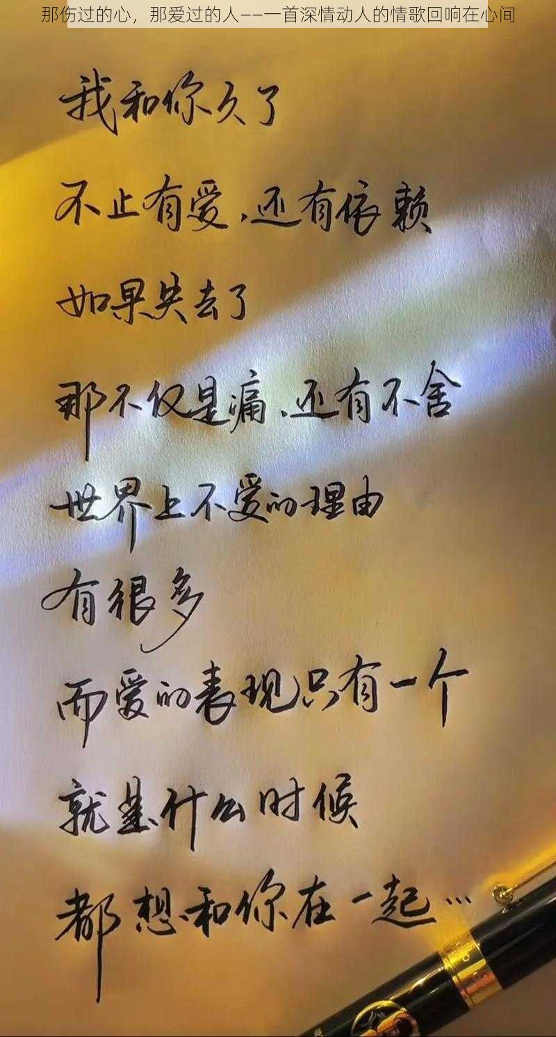 那伤过的心，那爱过的人——一首深情动人的情歌回响在心间