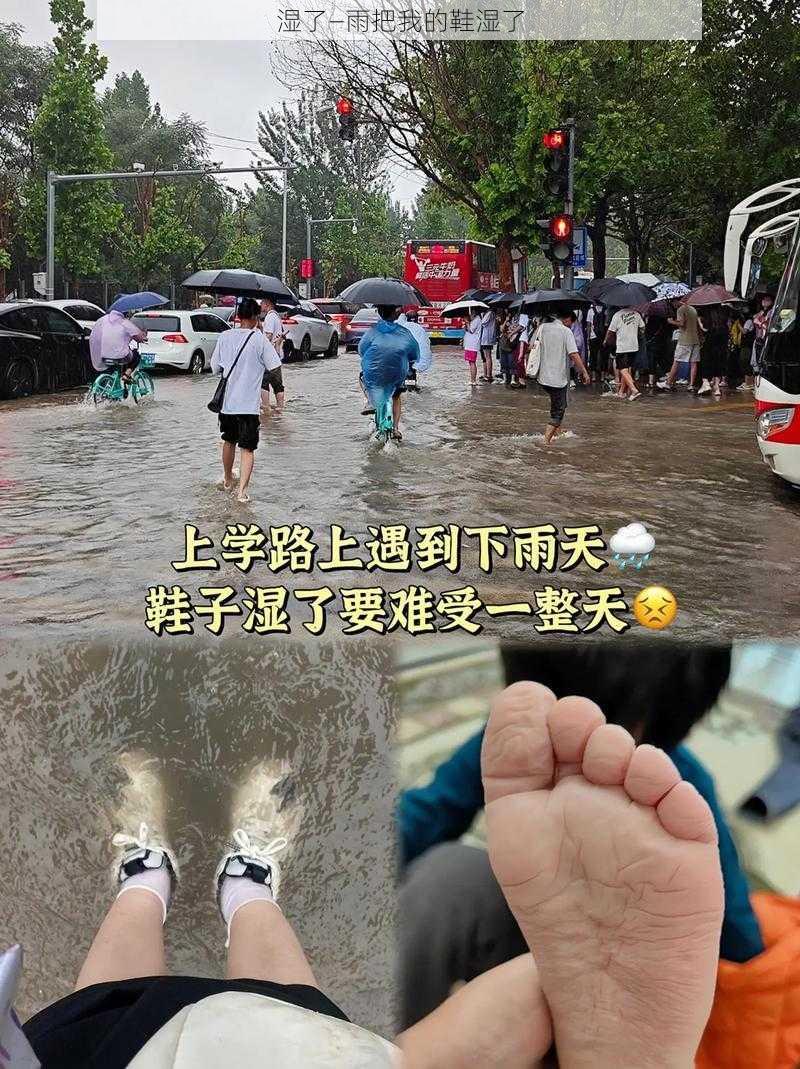 湿了—雨把我的鞋湿了