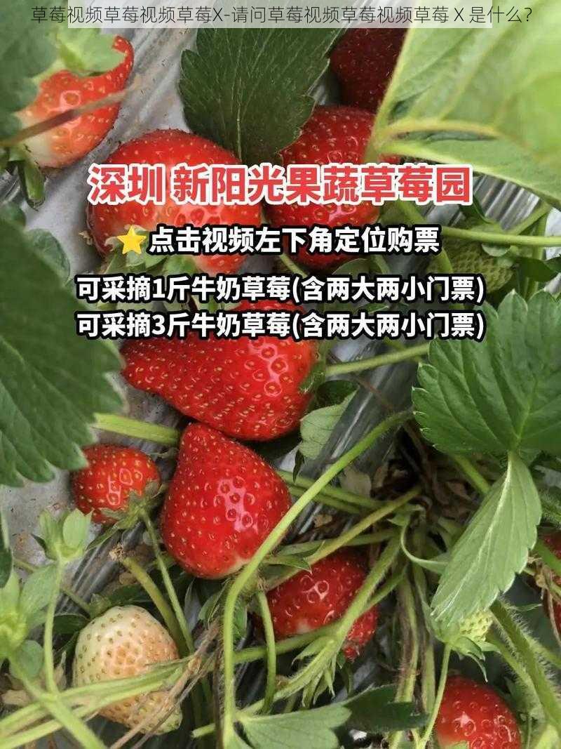 草莓视频草莓视频草莓X-请问草莓视频草莓视频草莓 X 是什么？