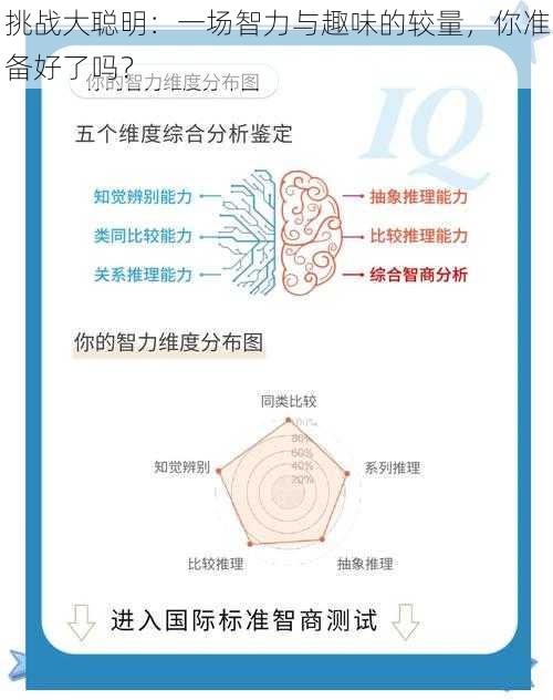 挑战大聪明：一场智力与趣味的较量，你准备好了吗？