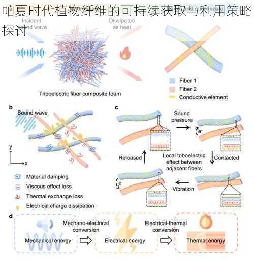 帕夏时代植物纤维的可持续获取与利用策略探讨