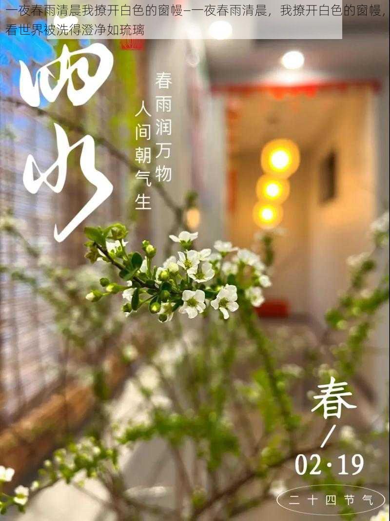 一夜春雨清晨我撩开白色的窗幔—一夜春雨清晨，我撩开白色的窗幔，看世界被洗得澄净如琉璃