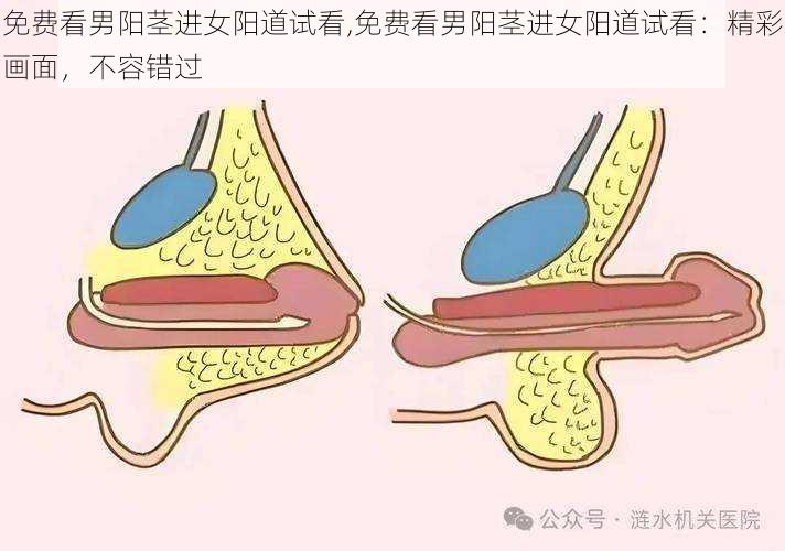 免费看男阳茎进女阳道试看,免费看男阳茎进女阳道试看：精彩画面，不容错过