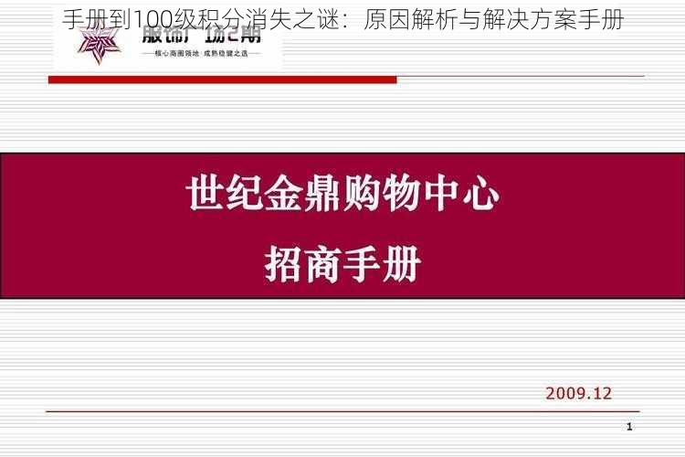 手册到100级积分消失之谜：原因解析与解决方案手册