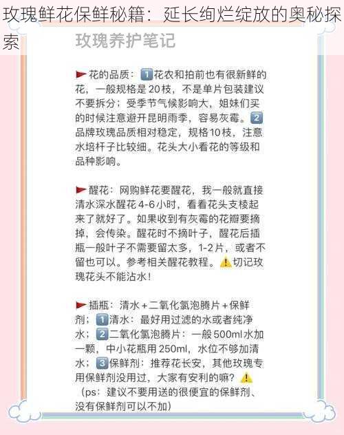 玫瑰鲜花保鲜秘籍：延长绚烂绽放的奥秘探索