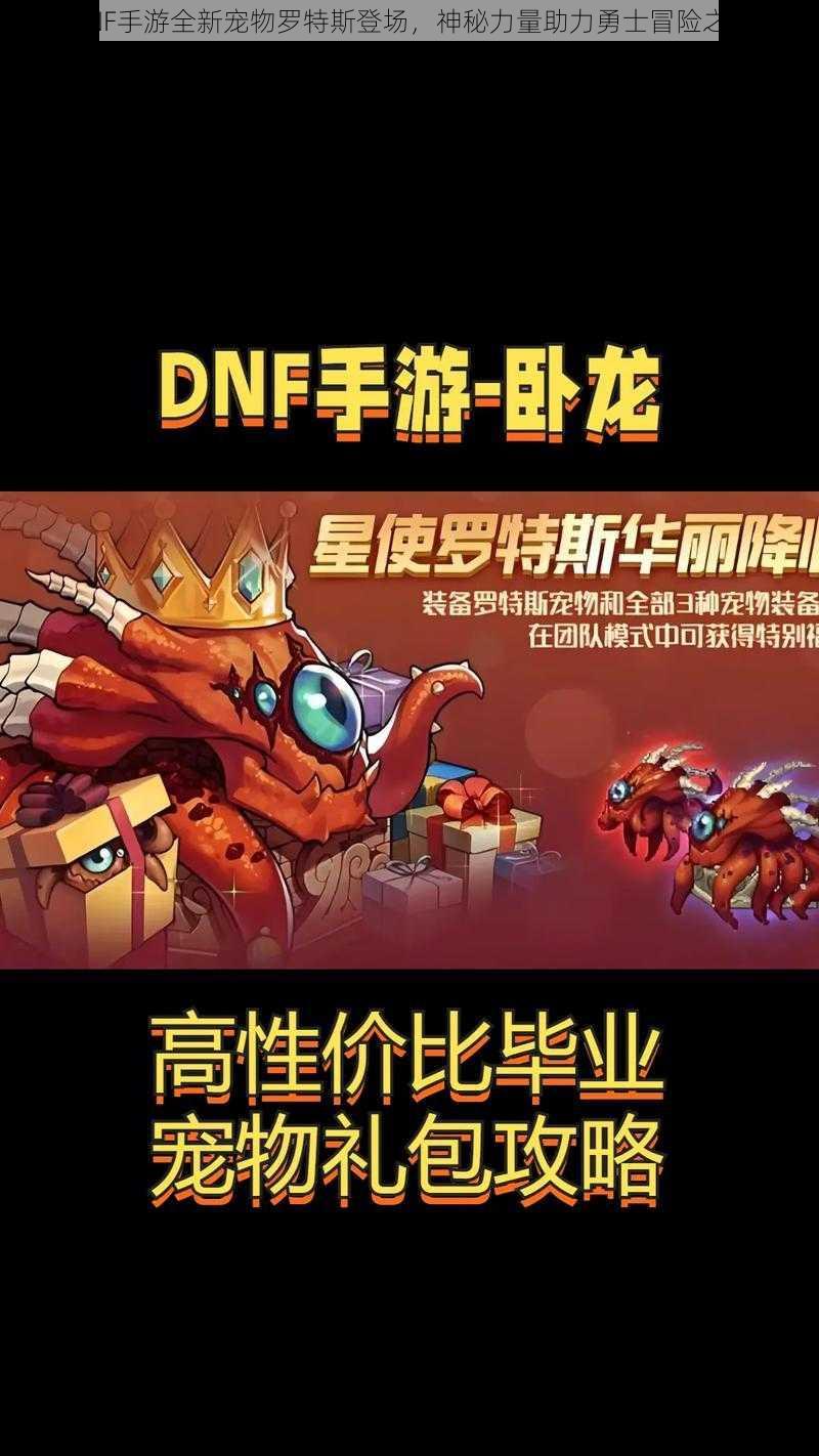 DNF手游全新宠物罗特斯登场，神秘力量助力勇士冒险之旅