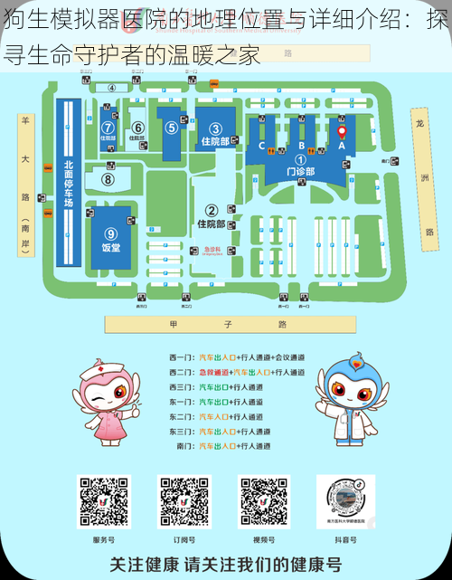 狗生模拟器医院的地理位置与详细介绍：探寻生命守护者的温暖之家