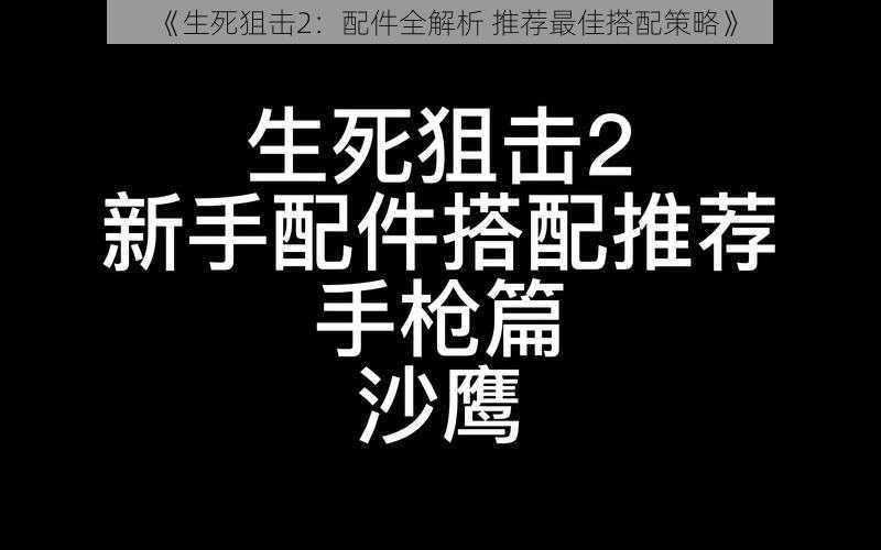 《生死狙击2：配件全解析 推荐最佳搭配策略》