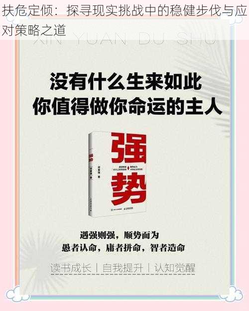 扶危定倾：探寻现实挑战中的稳健步伐与应对策略之道