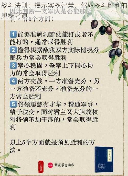 战斗法则：揭示实战智慧，驾驭战斗胜利的奥秘之道